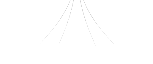 lines bg